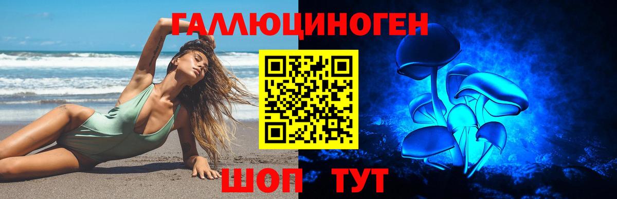Галлюциногенные грибы MAGIC MUSHROOMS  наркотики  Кингисепп  Вход с VPN 