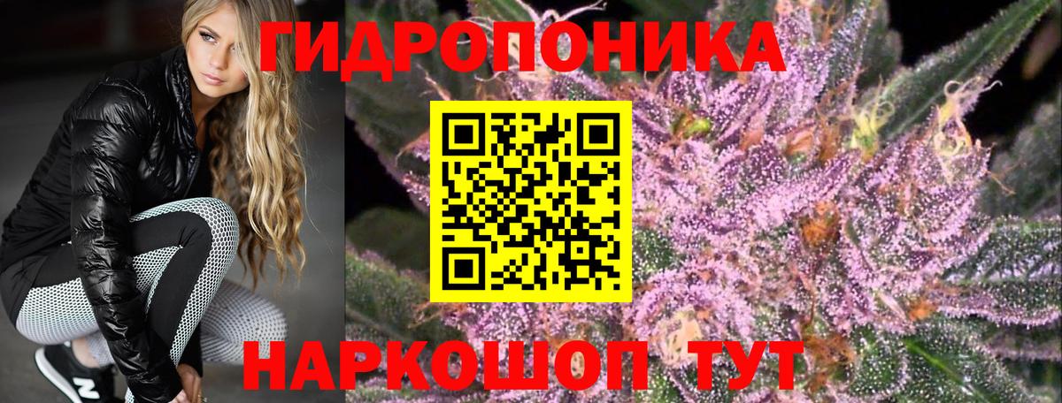 Кингисепп  Каннабис гибрид  Шишки марихуана OG Kush  Вход с VPN  Марихуана White Widow 